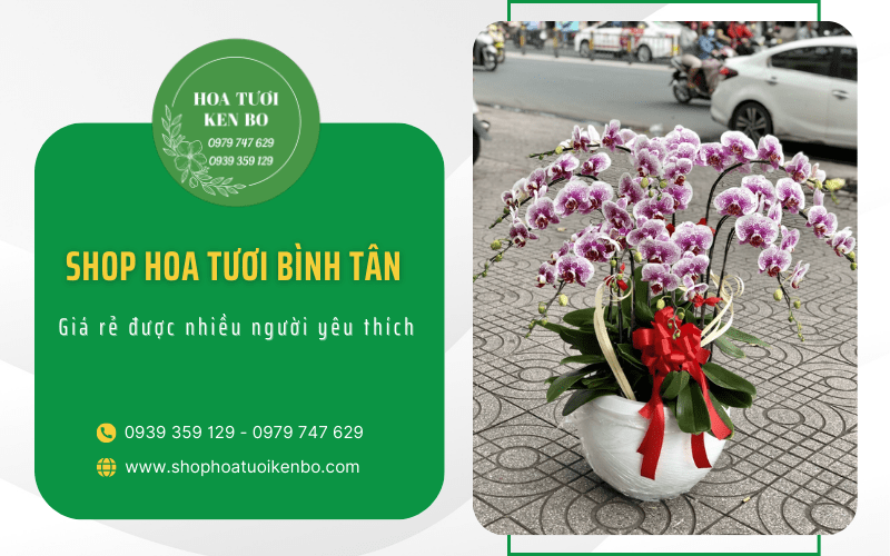 Shop Hoa Tươi Bình Tân