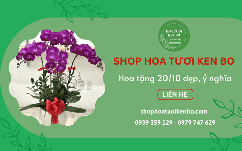 hoa tặng 20/10