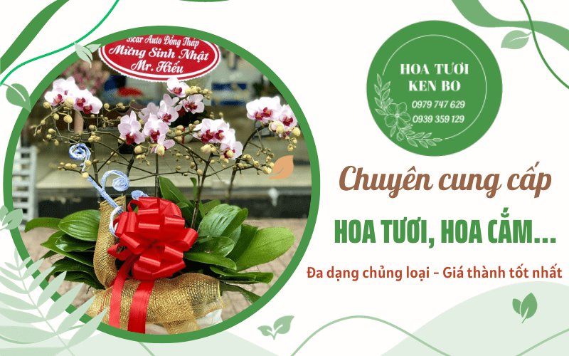 hoa tươi
