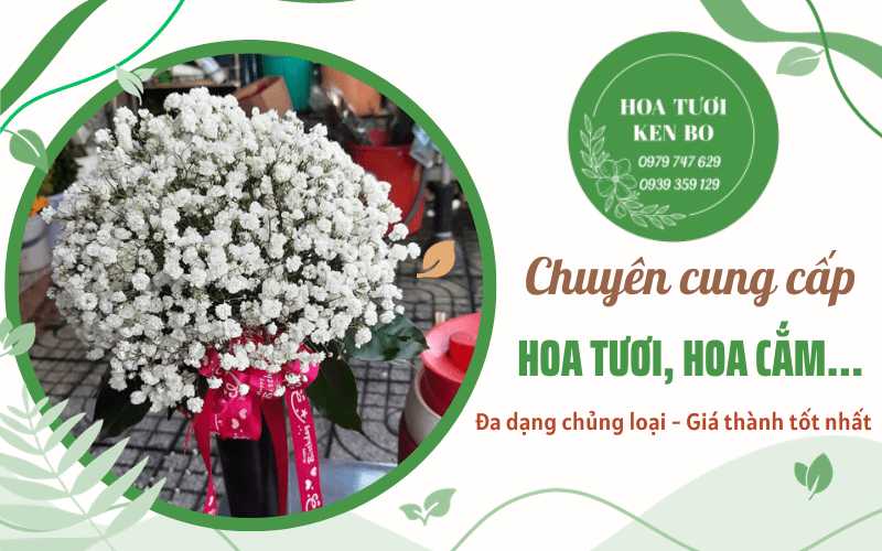 hoa tươi