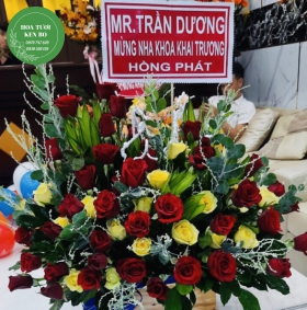 Hoa chúc mừng Khai trương mẫu 11