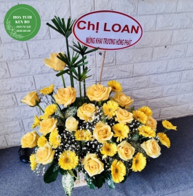 Hoa chúc mừng Khai trương mẫu 13