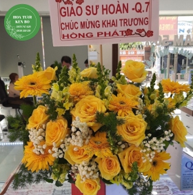Hoa chúc mừng Khai trương mẫu 2