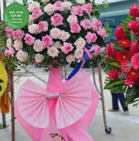 Hoa Chúc Mừng Khai Trương Mẫu 43